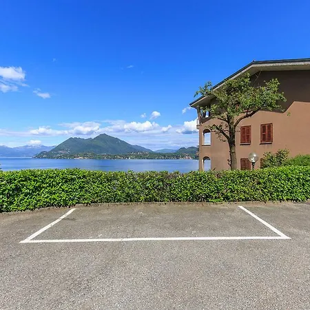 Albicocca סטרסה